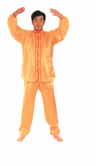 Exercise 2: The Falun Standing Stance